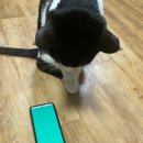 부안동물병원 이미지