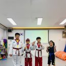 용인대 올림픽 태권도장 이미지