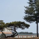 강원대학교사범대학부설고등학교 이미지