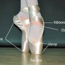 성인 토슈즈 이미지