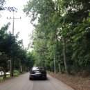 밤까시목장 | 스물네번째 캠핑 :: 당진 캠핑장 추천! 아그로랜드 태신목장 캠핑장