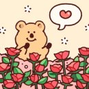 연필스케치와 꽃그림 이미지