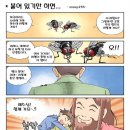 믿음생활 에세이 김영진 - 붙어 있기만 하면... 이미지