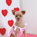 도기살롱 이미지