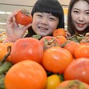 홍시 이미지
