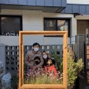 성내가든