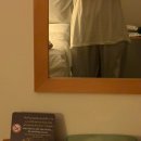 디바농장 | 홀로 아부다비로 떠나다