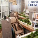 스타안마 이미지