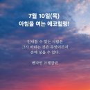 에코힐링