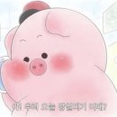 우쥬라이크