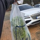 동막상회