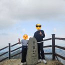 유달산의 아침 | 목포 가볼만한곳 "유달산 등반"