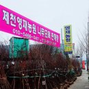 영재농원 이미지