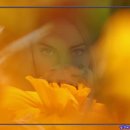 플라토닉 이미지