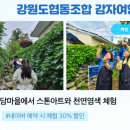 설렘양양 사회적협동조합 네이버블로그