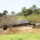 윤증묘소 이미지