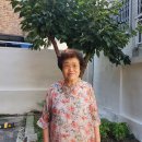 살림한의원 이미지