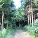 편백나무숲민박 이미지