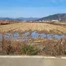 (경남고성부동산)동해면/ 일조량 좋은곳/하우스 적합한 논 매매/ 2,995제곱미터(906)/ 1억1천만원 이미지