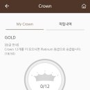 폴바셋롯데광복점