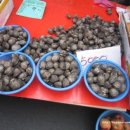 광주-송정-10 이미지