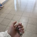 LH아파트앞(아파트방면) | LH 국민임대 아파트 51형 주택 열람/사전점검 후기!