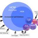 24시 와이즈 동물메디컬센터 이미지