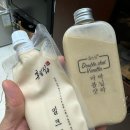 울릉도 차박 4박 5일 후기(노지 최신정보 및 반려견 동반가능 시설 ft. 다 막힘)