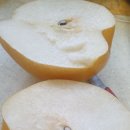 배한농장 이미지