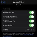 [오피셜] 아이폰, 마스크쓰고 Face ID 기능 추가 이미지