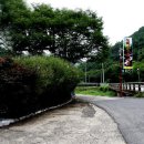 느티나무골펜션 이미지