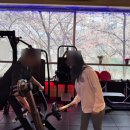 국가대표 송기석 퍼스널트레이닝 이미지