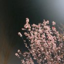 모던파머스 이미지