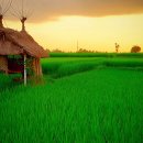 유림-1116 이미지