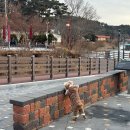 진도상설시장 | 예산 애견동반 여행: 예당호 출렁다리, 예산시장
