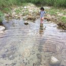 테이스트캠프 이미지