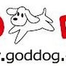 지오디독 이미지