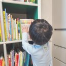 동화3안길-4 | 우리 아이 첫 생활동화 전집 | 곰곰이 생활동화 전집 3~4세 솔직 후기