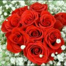 수요일 Daum카페