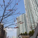 윤가네밥상 이미지