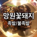 마포꽃돼지 이미지