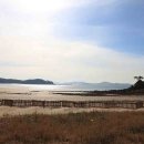 바다바라길 이미지
