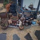 들꽃피는 아침풍경 이미지