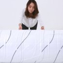 딜란디스