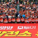 영양군 공설운동장 이미지