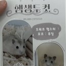 햄토피아 천안 불당점 이미지