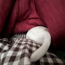 (주)장보고유통 이미지