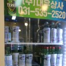 돗배갈매기 이미지