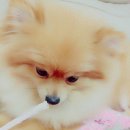 소망직업소개소 - 평택시 | 소망직업소개소