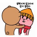 오므 이미지